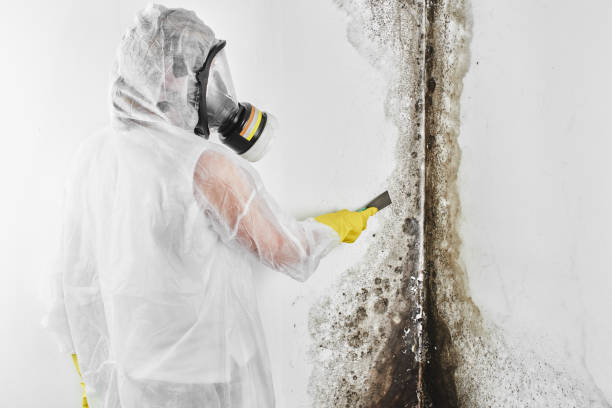 Best Emergency Mold Removal  in Huntersville, NC