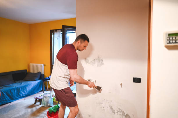 Huntersville, NC Mold Removal Company